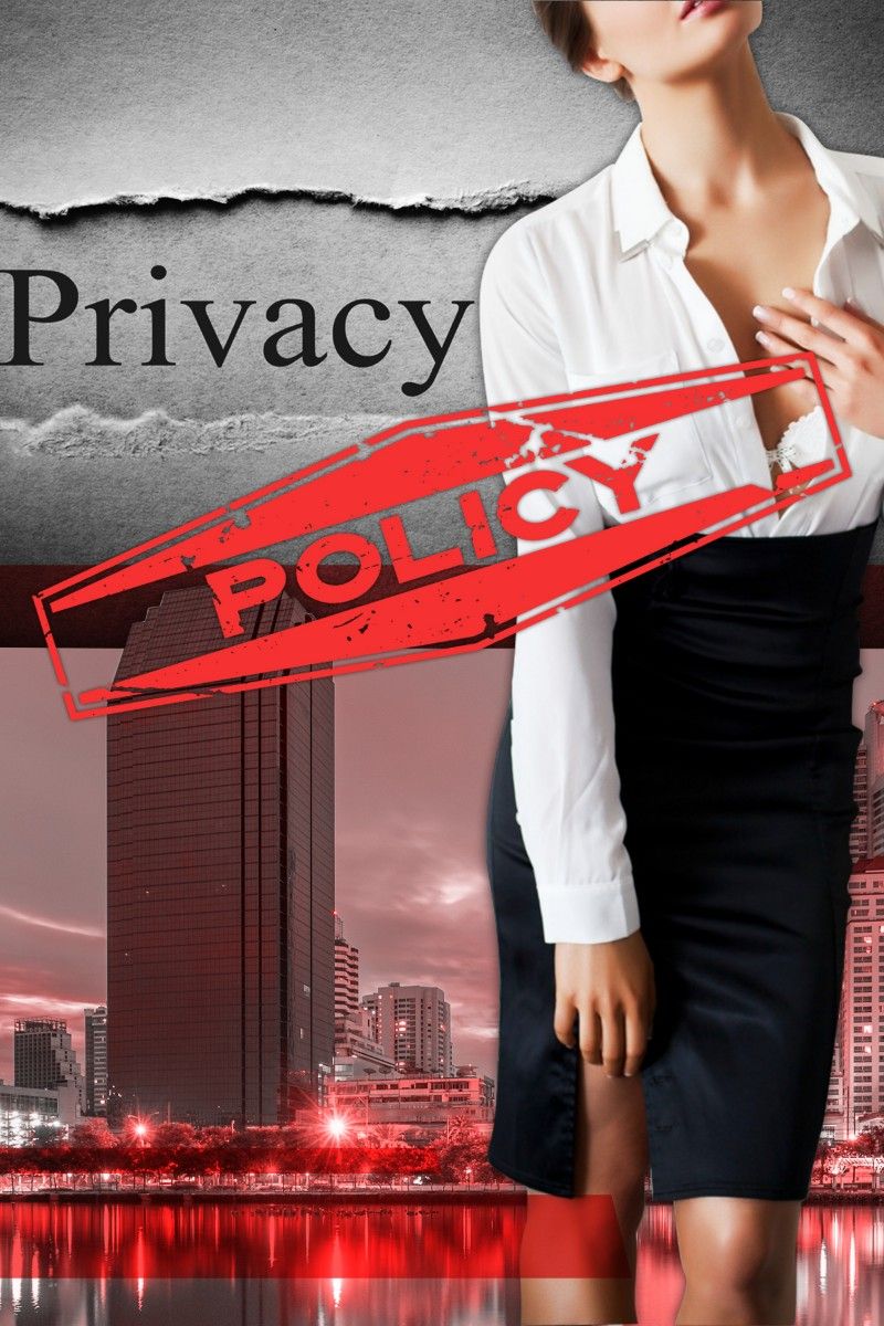 Privacy for models represented by the agency
